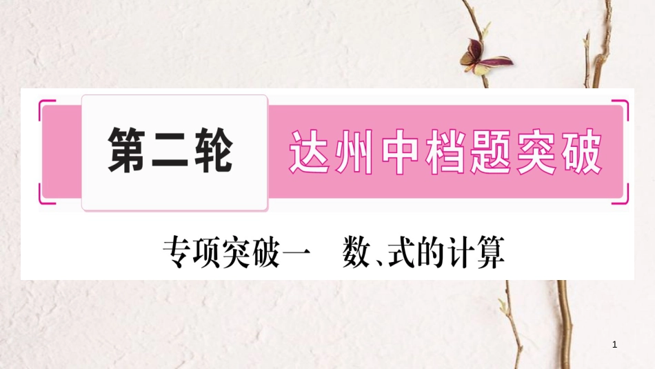 （达州专版）中考数学总复习第二轮中档题突破专项突破1数、式的计算课件_第1页