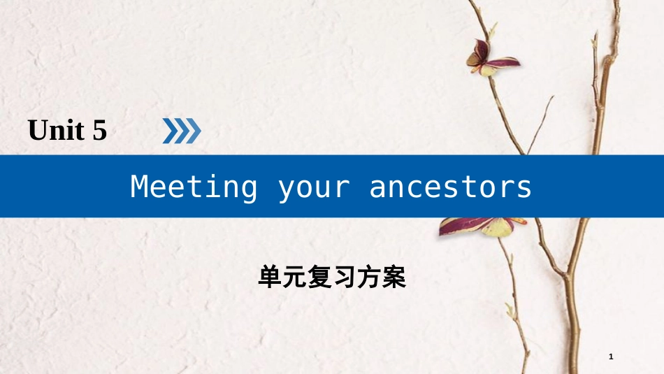 高中英语 Unit 5 Meeting your ancestors单元复习方案课件 新人教版选修8_第1页