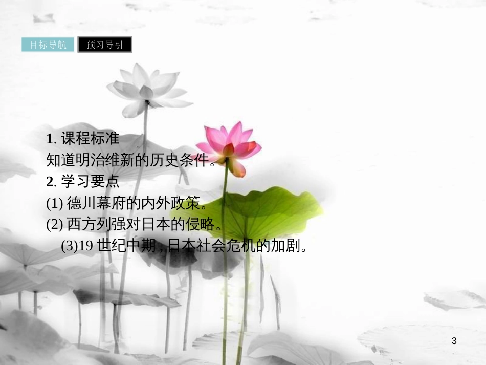 高中历史 第八单元 日本明治维新 第1课 从锁国走向开国的日本课件 新人教版选修1_第3页