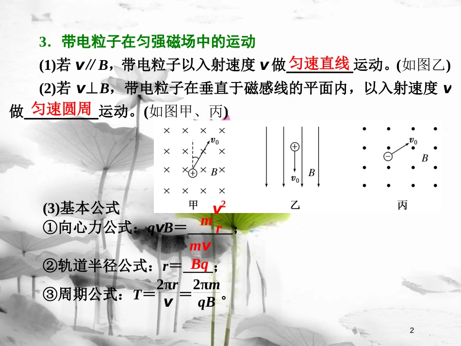 （新课标）高考物理总复习 第九章 磁场 第52课时 磁场对运动电荷的作用（重点突破课）课件_第2页