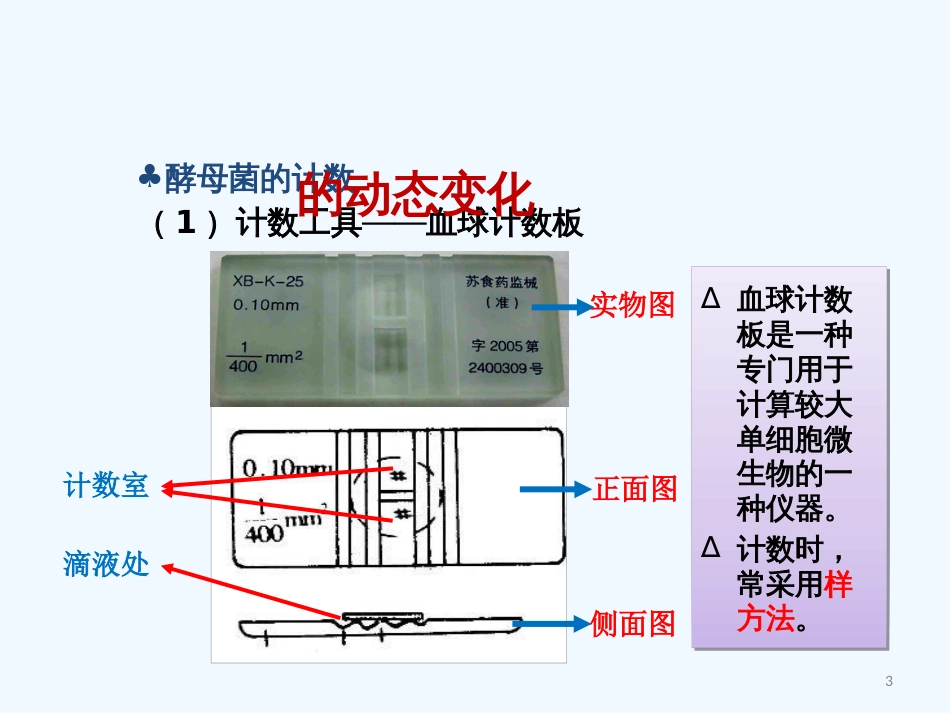 高中生物《第四章 第二节 种群数量的变化》课件 新人教版必修3_第3页