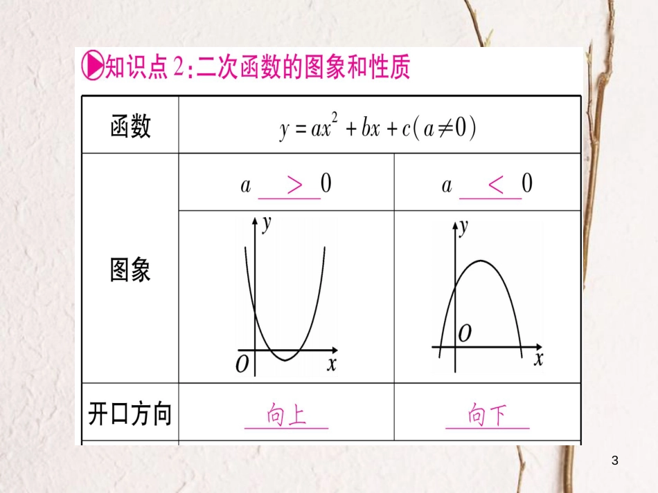 （安徽专版）中考数学总复习第一轮考点系统复习第3章函数第4节二次函数的图象与性质课件_第3页