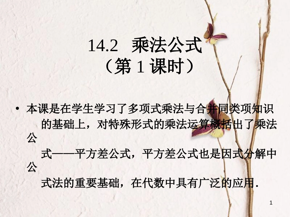 广东省中山市沙溪镇八年级数学上册 14.2 乘法公式 14.2.1 平方差公式教学课件 （新版）新人教版_第1页