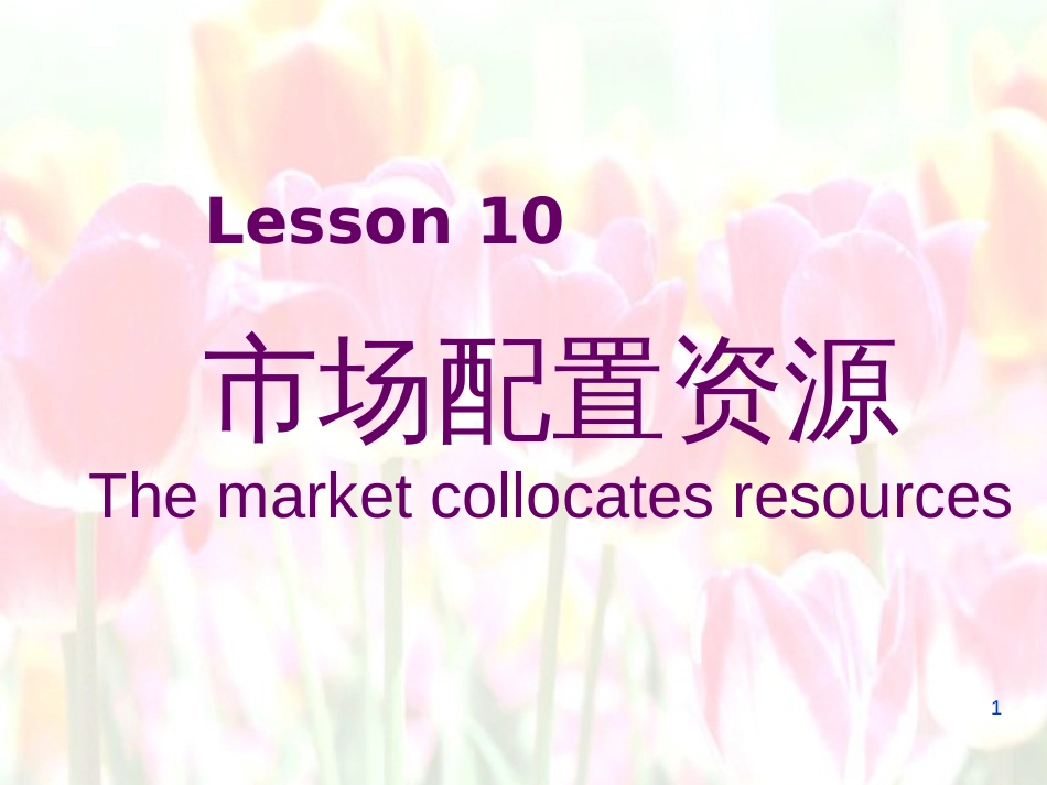 高中政治 第九课第一框题 市场配置资源课件 新人教版必修1_第1页