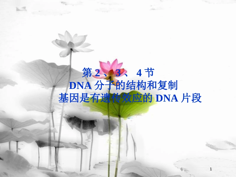 （广东专用）高考生物总复习第3章基因的本质第2节基因是有遗传效应的DNA片段课件新人教版必修2_第1页