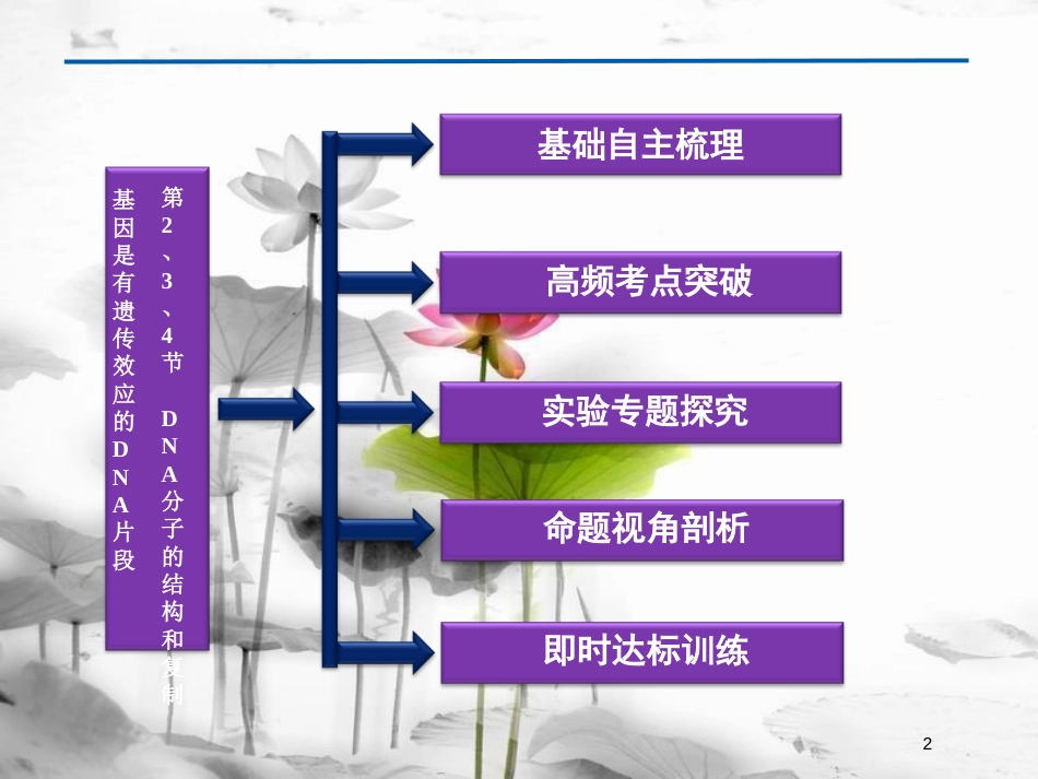 （广东专用）高考生物总复习第3章基因的本质第2节基因是有遗传效应的DNA片段课件新人教版必修2_第2页