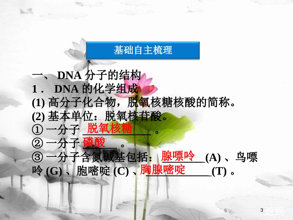 （广东专用）高考生物总复习第3章基因的本质第2节基因是有遗传效应的DNA片段课件新人教版必修2_第3页