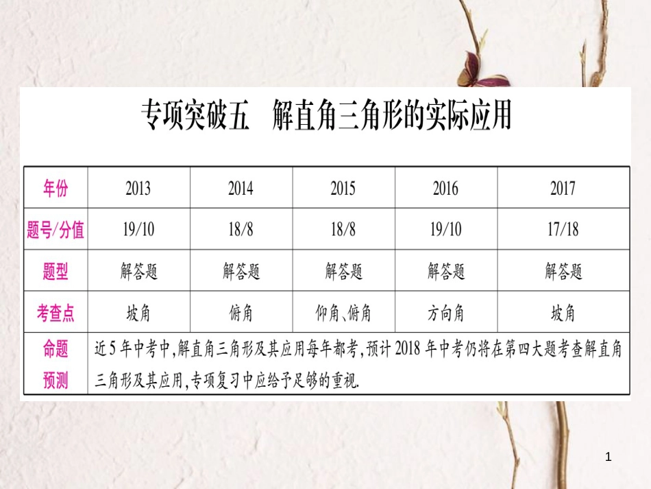 （安徽专版）中考数学总复习第二轮中档题突破专项突破5解直角三角形的实际应用课件_第1页