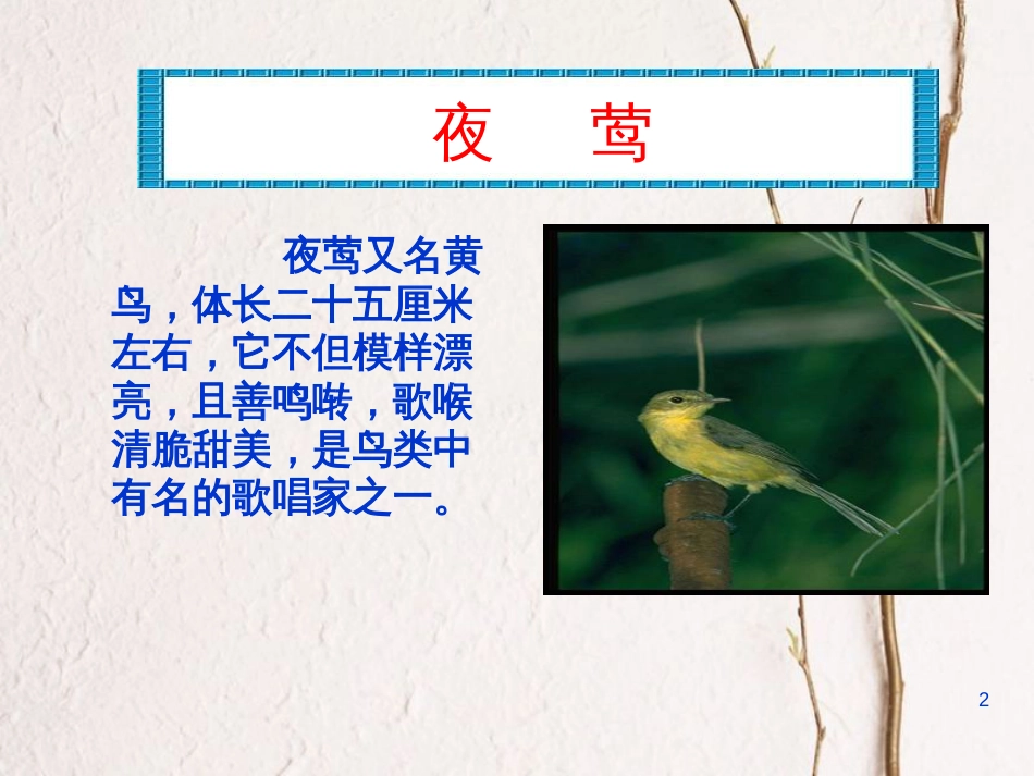 四年级语文下册 第4单元 13.夜莺的歌声课件4 新人教版_第2页