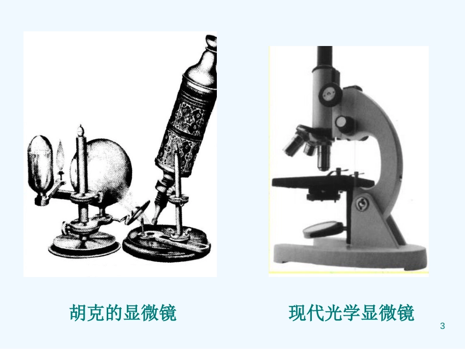 高中生物：第一节 细胞概述细胞学说课件 浙教版必修1_第3页