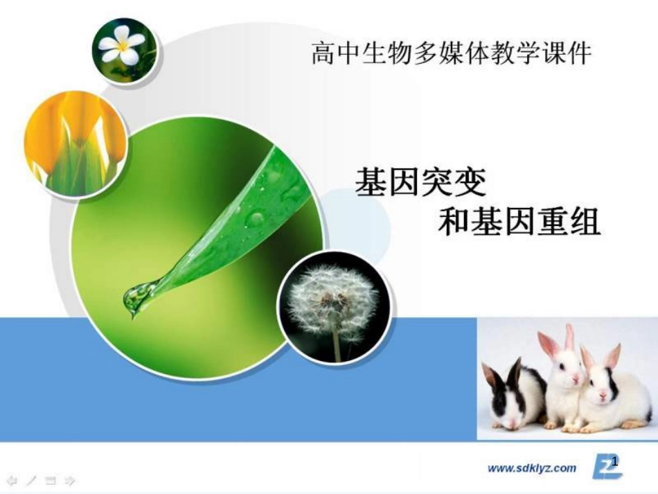 高中生物《第五章 第一节 基因突变和基因重组》课件3 新人教版必修2_第1页
