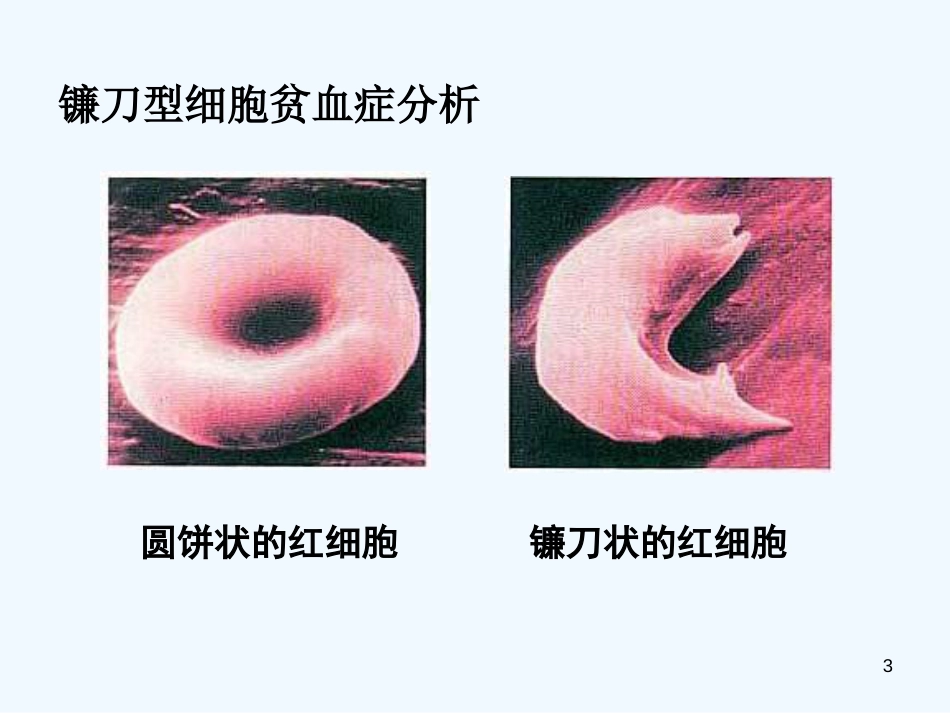 高中生物《第五章 第一节 基因突变和基因重组》课件3 新人教版必修2_第3页