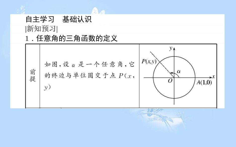 高中数学第一章三角函数1.2任意角的三角函数1.2.1.1任意角的三角函数（1）课件新人教A版_第3页