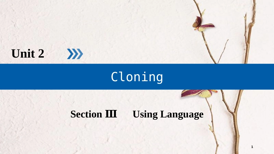 高中英语 Unit 2 Cloning Section 3 Using Language课件 新人教版选修8_第1页