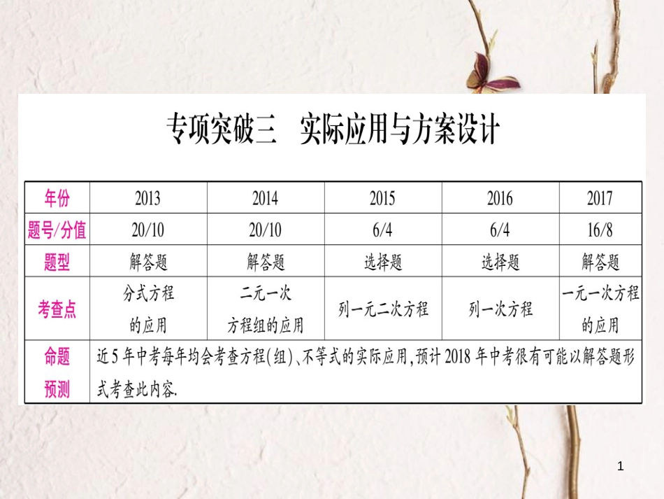 （安徽专版）中考数学总复习第二轮中档题突破专项突破3实际应用与方案设计课件_第1页