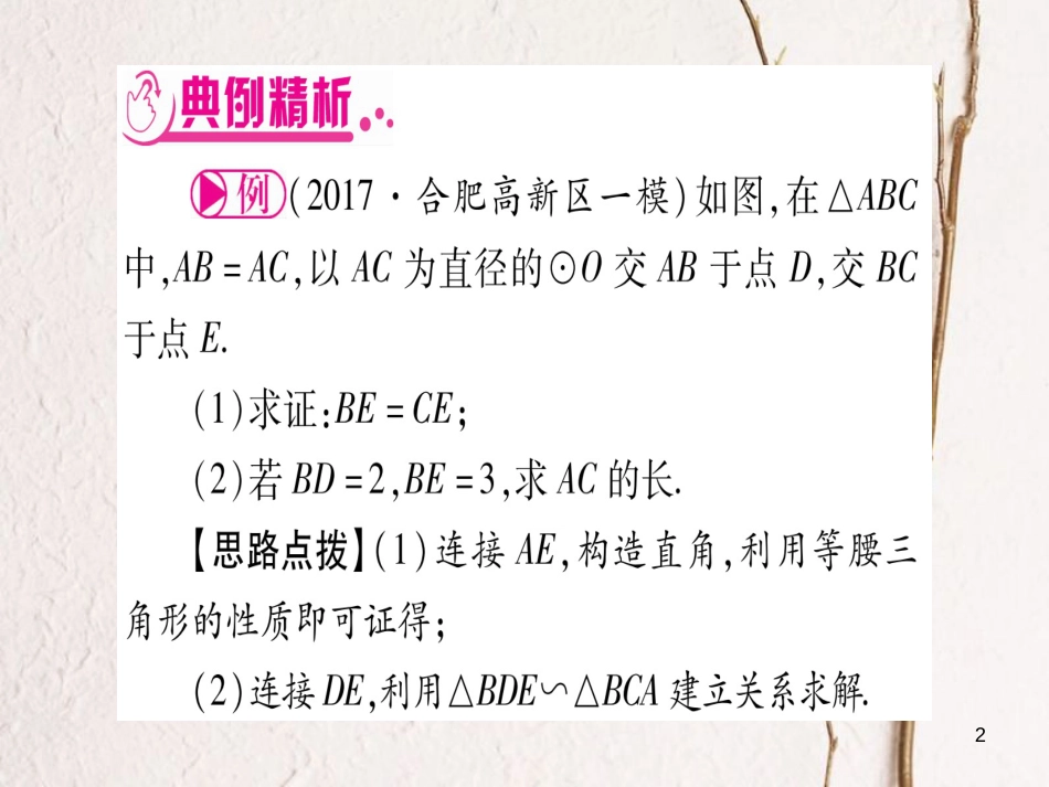 （安徽专版）中考数学总复习第二轮中档题突破专项突破6圆的有关证明与计算课件_第2页