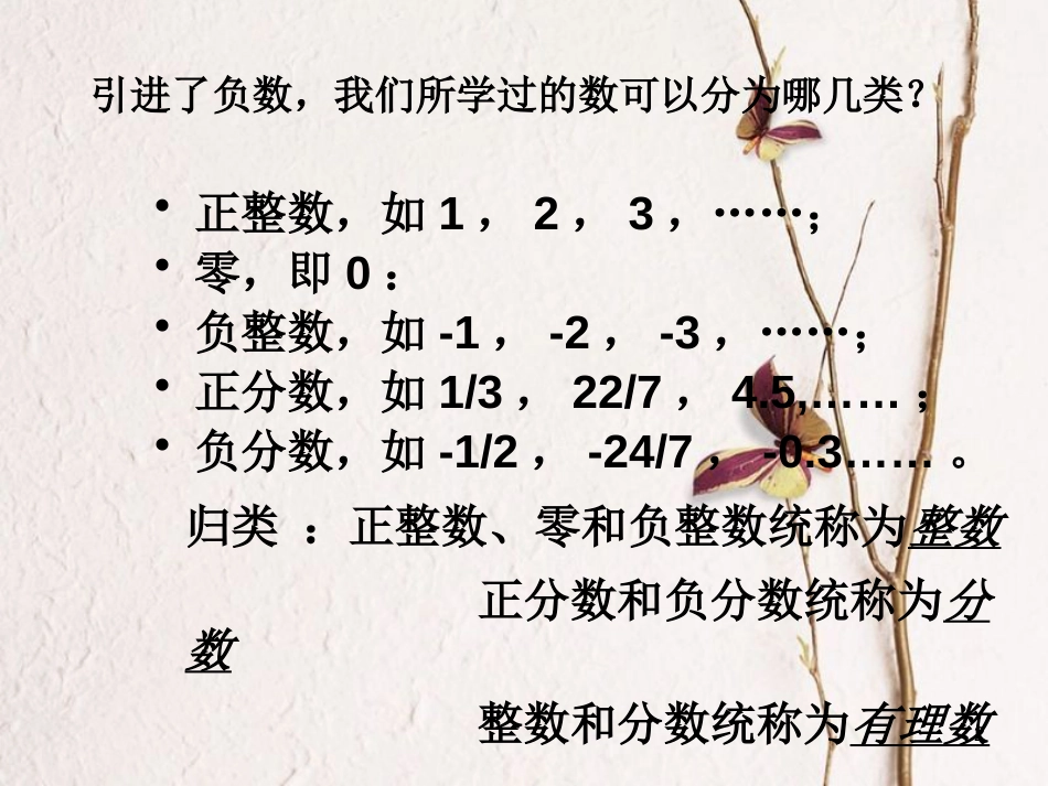 七年级数学上册 2.1 有理数 2.1.2 有理数教学课件3 （新版）华东师大版_第2页