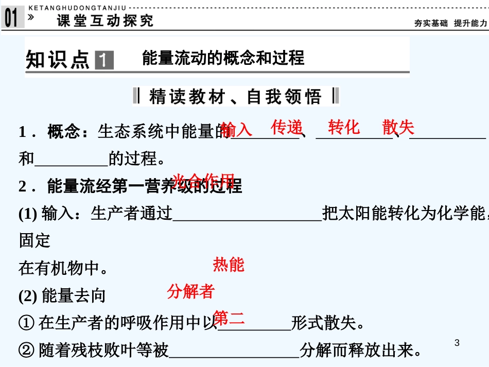 高中生物 5-2生态系统的能量流动课件 新人教版必修3_第3页