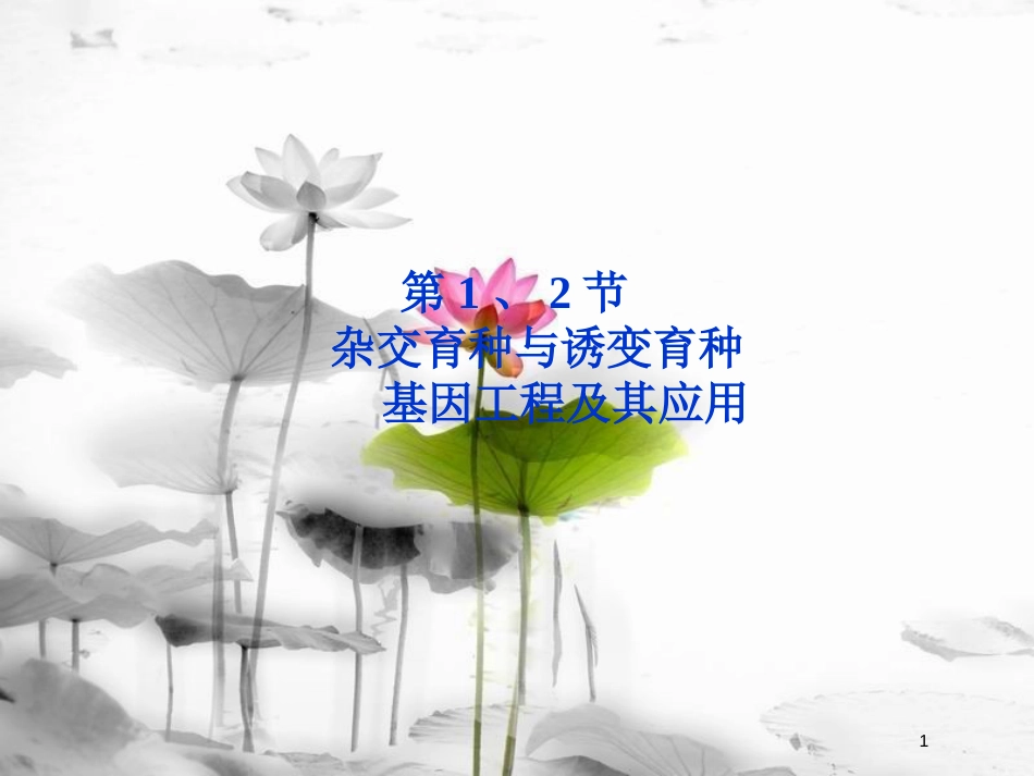 （广东专用）高考生物总复习第6章从杂交育种到基因工程第1节杂交育种与诱变育种课件新人教版必修2_第1页