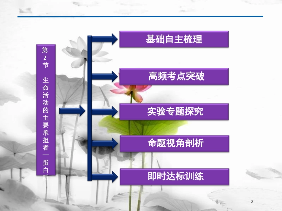 （广东专用）高考生物总复习第6章从杂交育种到基因工程第1节杂交育种与诱变育种课件新人教版必修2_第2页