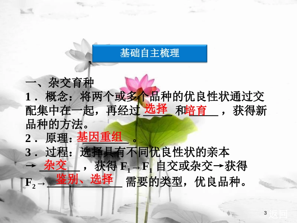 （广东专用）高考生物总复习第6章从杂交育种到基因工程第1节杂交育种与诱变育种课件新人教版必修2_第3页