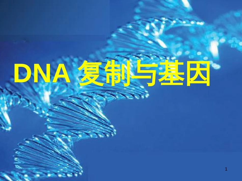 辽宁省沈阳市高中生物 第三章 细胞的基本结构 3.4 DNA复制与基因课件 新人教版必修1_第1页
