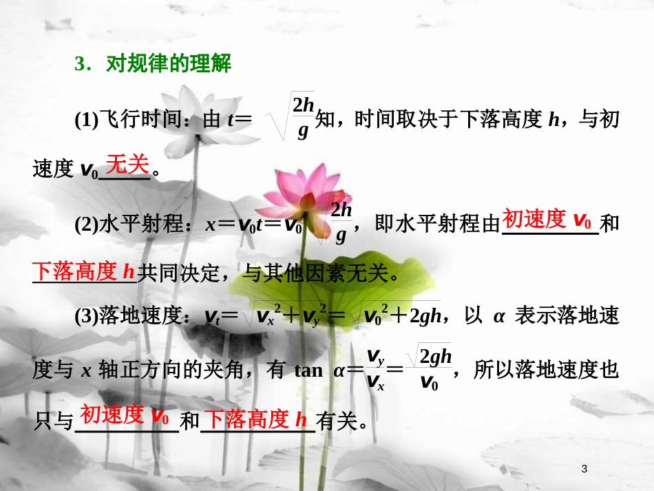 （新课标）高考物理总复习 第四章 曲线运动 第21课时 抛体运动（双基落实课）课件_第3页