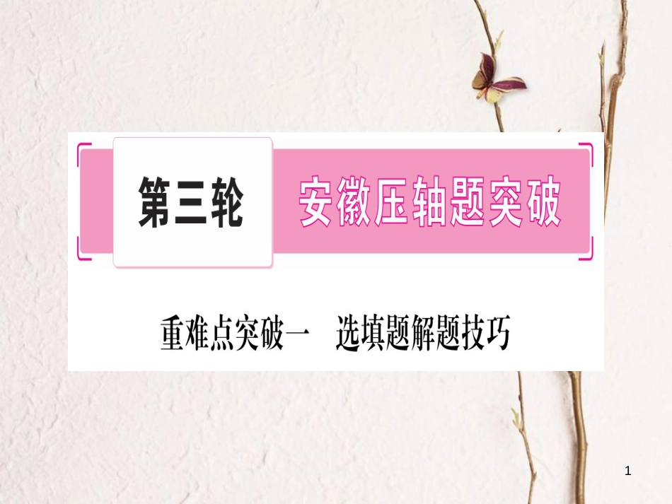 （安徽专版）中考数学总复习第三轮压轴题突破重难点突破1选择题解题技巧课件_第1页