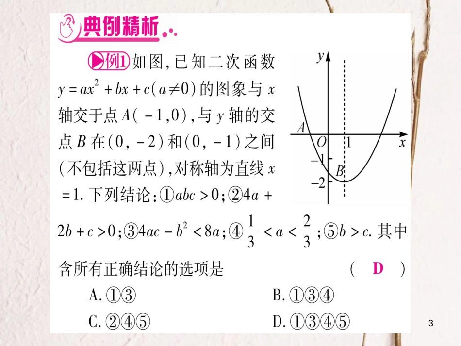 （安徽专版）中考数学总复习第三轮压轴题突破重难点突破1选择题解题技巧课件_第3页