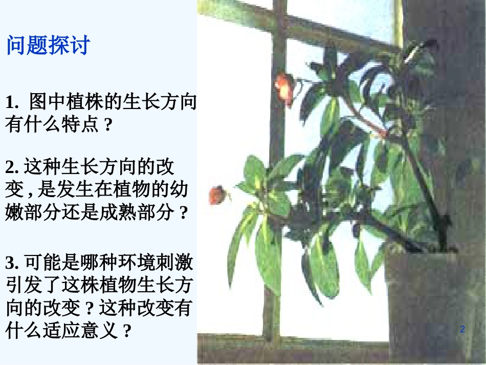 高中生物《第三章 第一节 植物生长素的发现》课件3 新人教版必修3_第2页