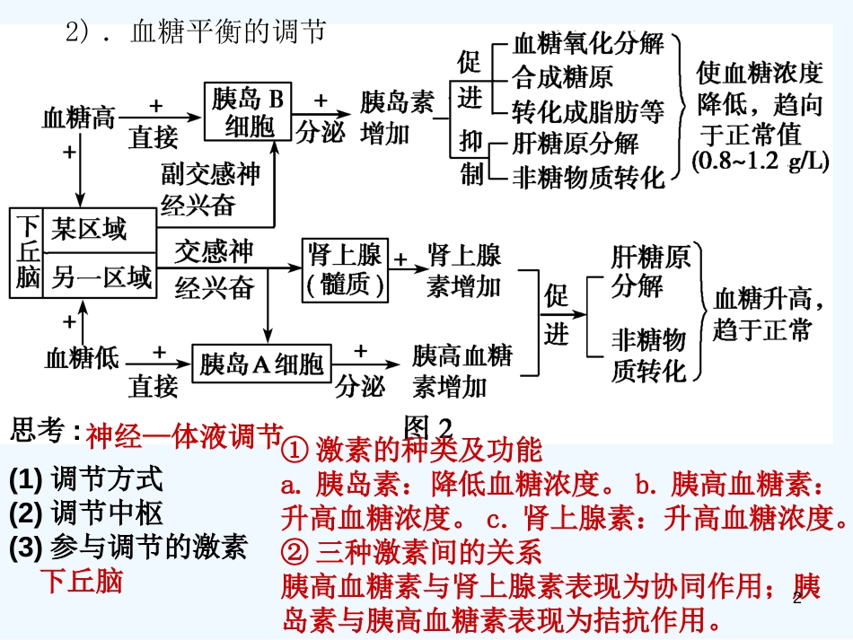 高考生物一轮复习 体液调节课件_第2页