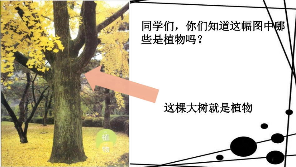一年级科学上册 1.1 我们知道的植物课件3 教科版_第2页