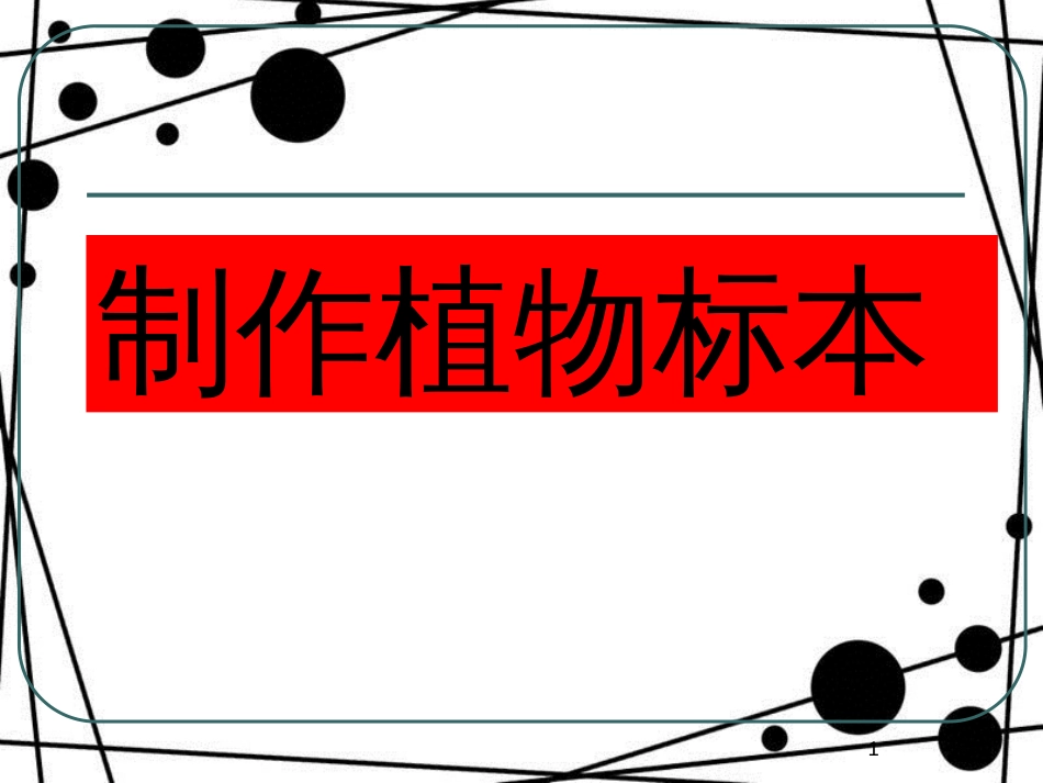 四年级科学上册 2.2 制作植物标本课件1 新人教版_第1页