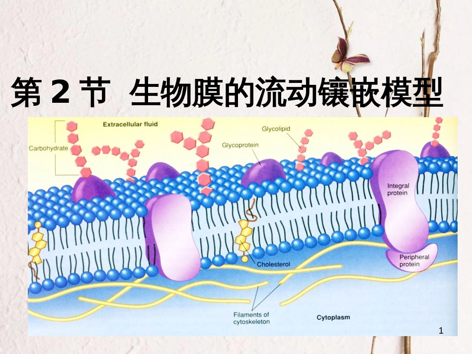 贵州省遵义市高一生物 生物膜的流动镶嵌模型（二）课件_第1页