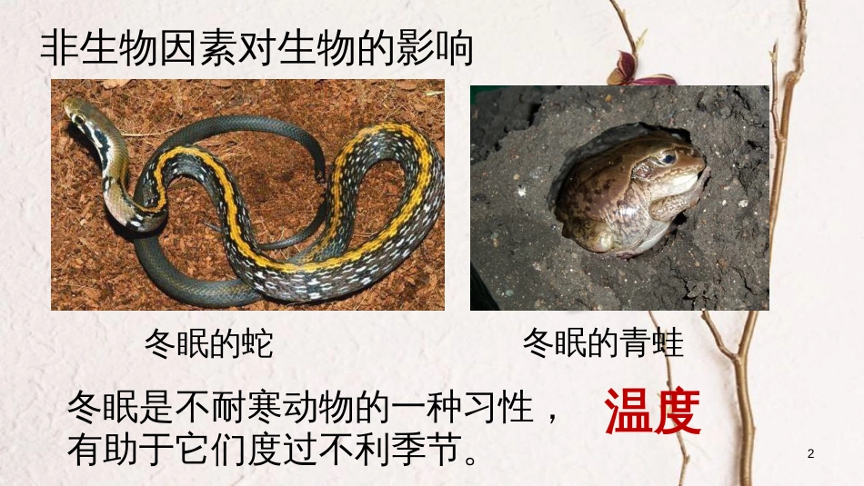 七年级生物上册 第一单元 第二章 第一节 生物与环境的关系（第2课时）课件 （新版）新人教版_第2页