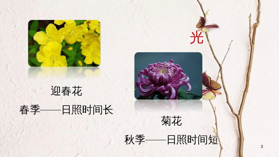 七年级生物上册 第一单元 第二章 第一节 生物与环境的关系（第2课时）课件 （新版）新人教版_第3页