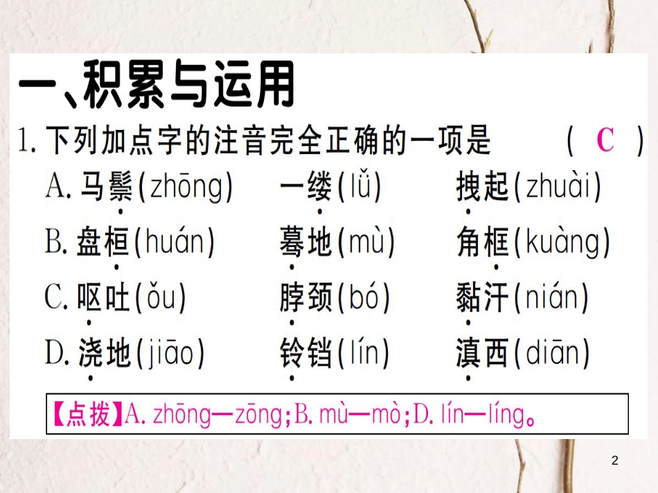 （贵州专版）九年级语文下册7溜索课件新人教版_第2页