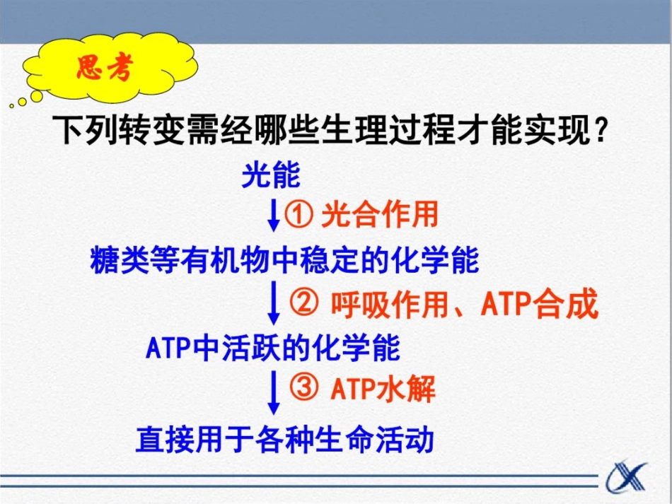 知识点-绿叶中的色素_第2页