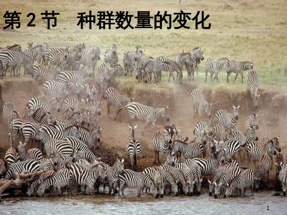 高中生物：浙科版必修3《种群的增长方式》课件_第1页