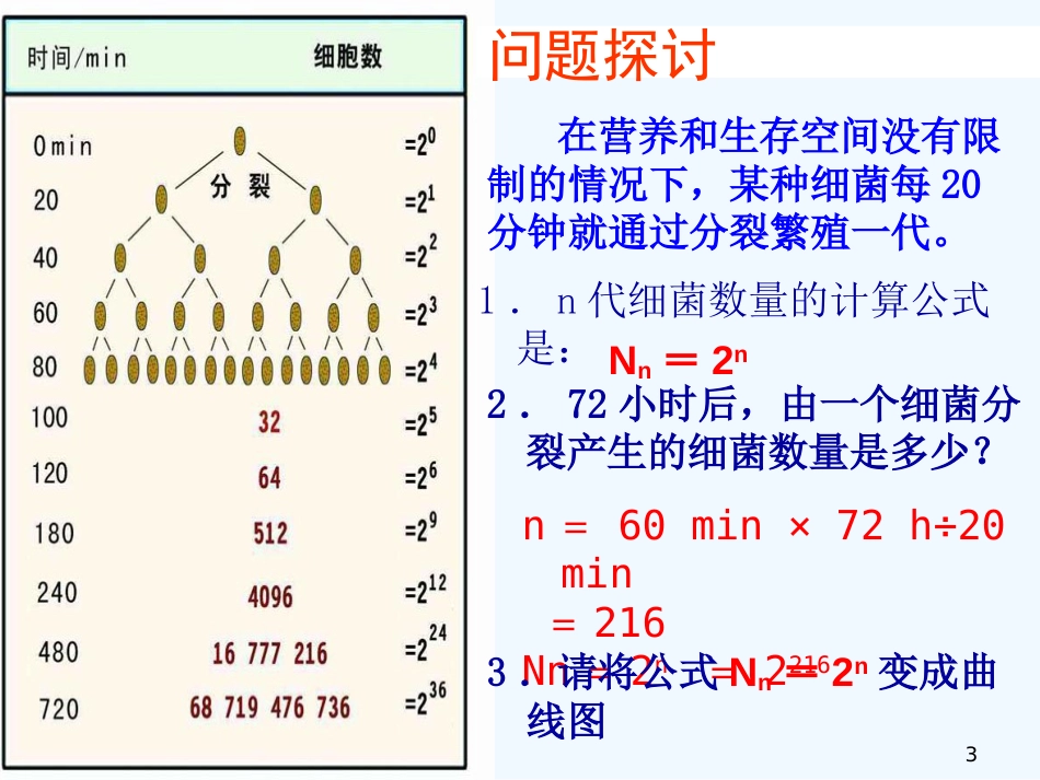 高中生物：浙科版必修3《种群的增长方式》课件_第3页
