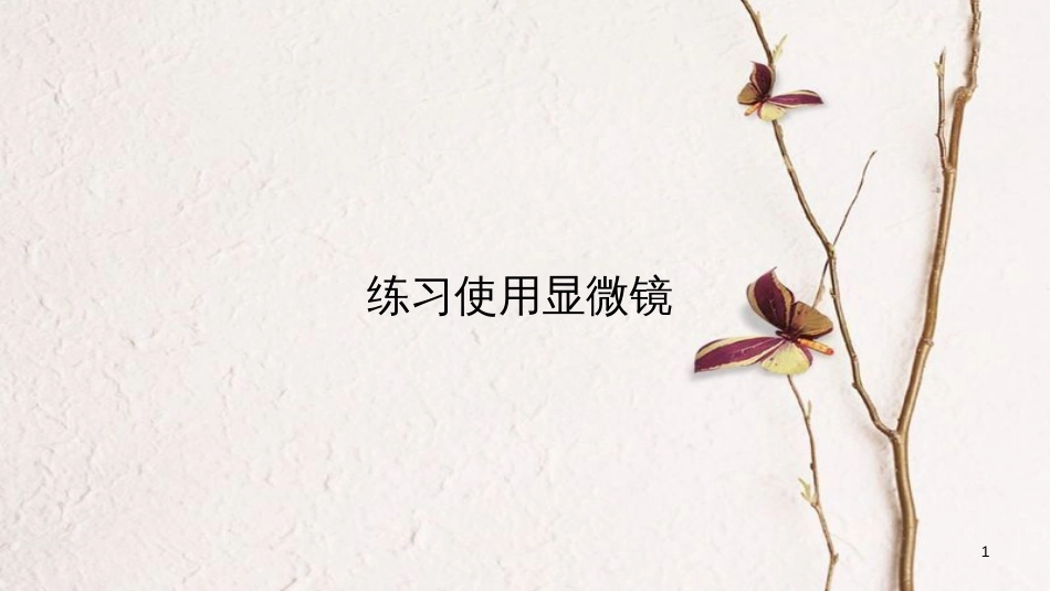 七年级生物上册 第二单元 第一章 第一节《练习使用显微镜》课件 （新版）新人教版_第1页