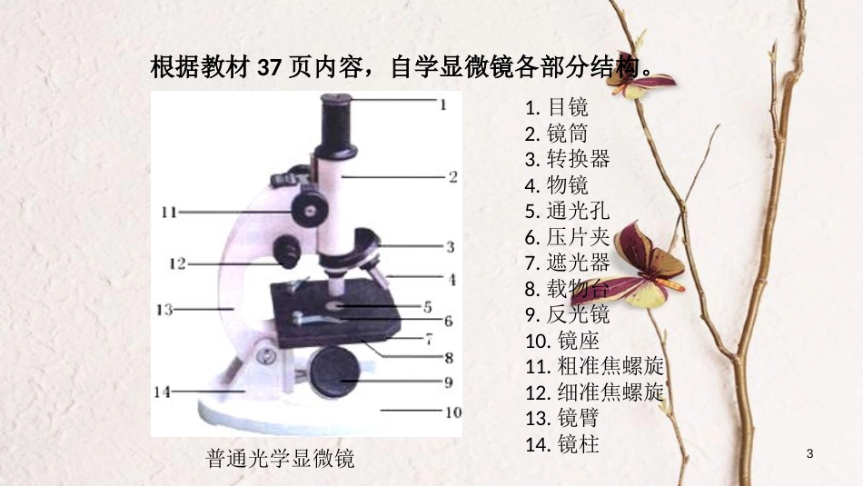 七年级生物上册 第二单元 第一章 第一节《练习使用显微镜》课件 （新版）新人教版_第3页