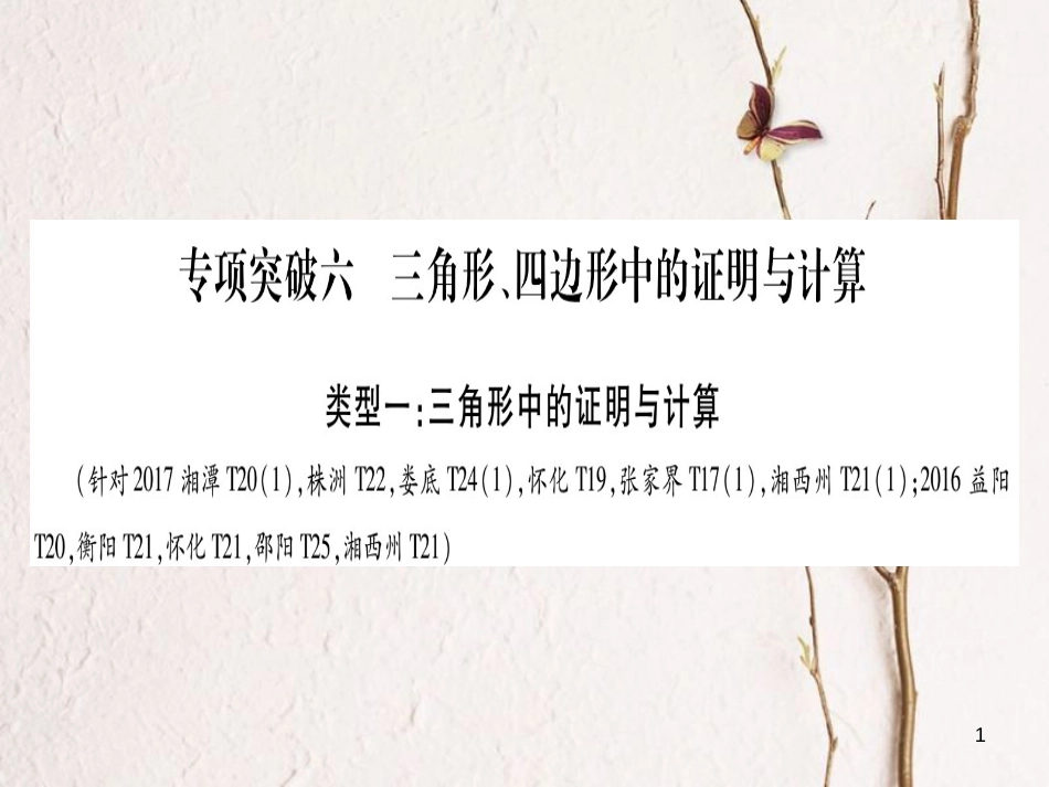 （湖南专版）中考数学总复习第二轮湖南中档题突破专项突破6三角形、四边形中的证明与计算课件_第1页