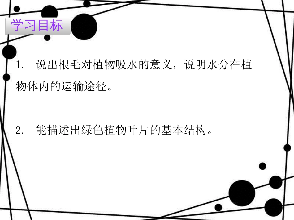 七年级生物上册 第三单元 第三章 绿色植物与生物圈的水循环课件 （新版）新人教版_第2页
