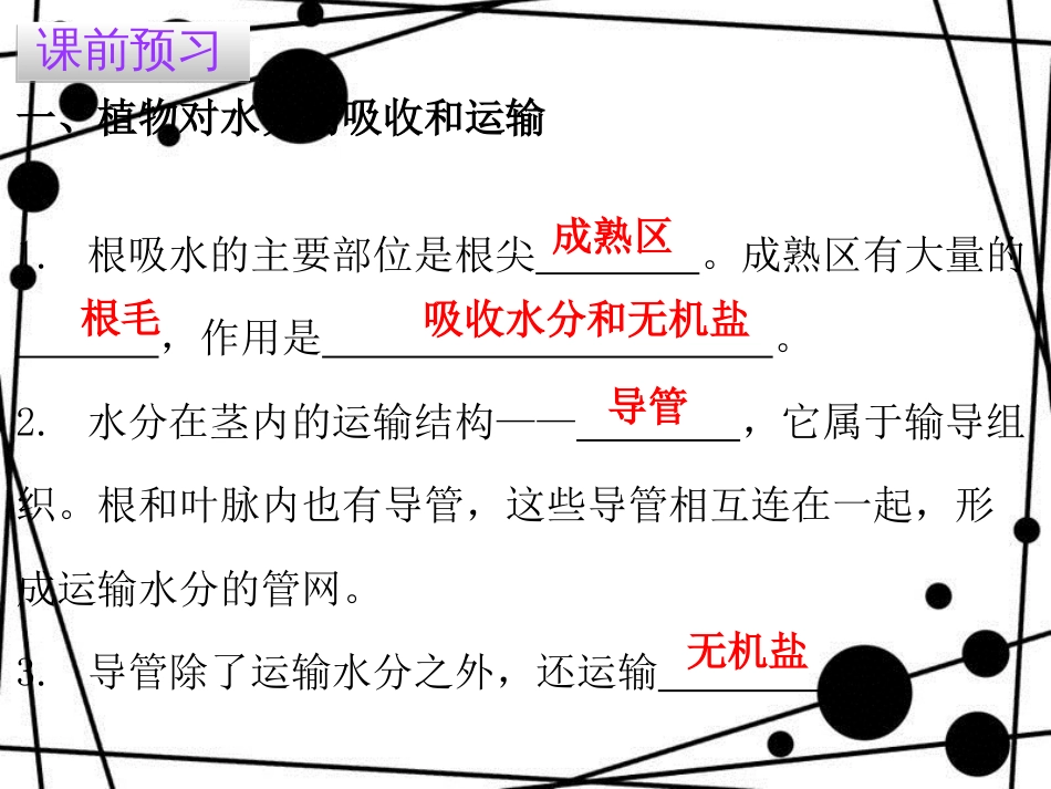 七年级生物上册 第三单元 第三章 绿色植物与生物圈的水循环课件 （新版）新人教版_第3页