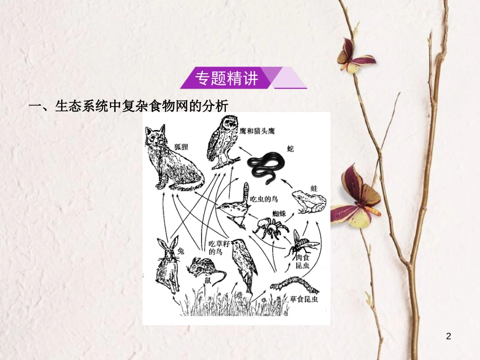 （B版，浙江选考专用）2019版高考生物总复习专题4生物与环境课件_第2页