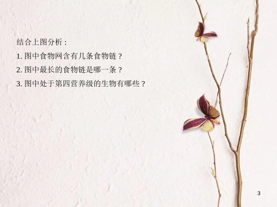 （B版，浙江选考专用）2019版高考生物总复习专题4生物与环境课件_第3页