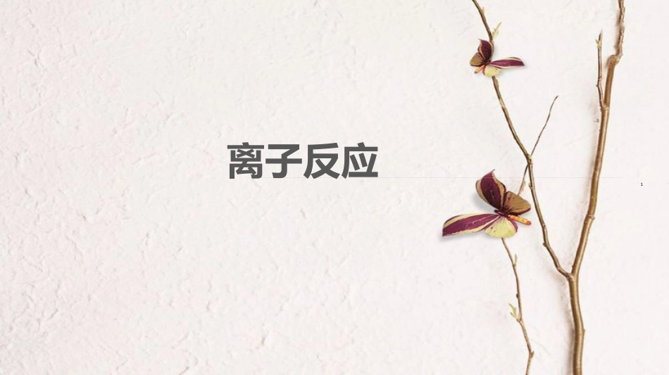 广东省高三化学二轮复习 复习课件离子反应32课件_第1页