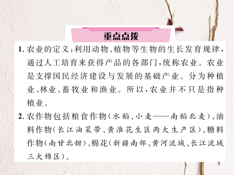 湖北省襄阳市中考地理 第18讲 中国的农业与工业复习课件1_第3页