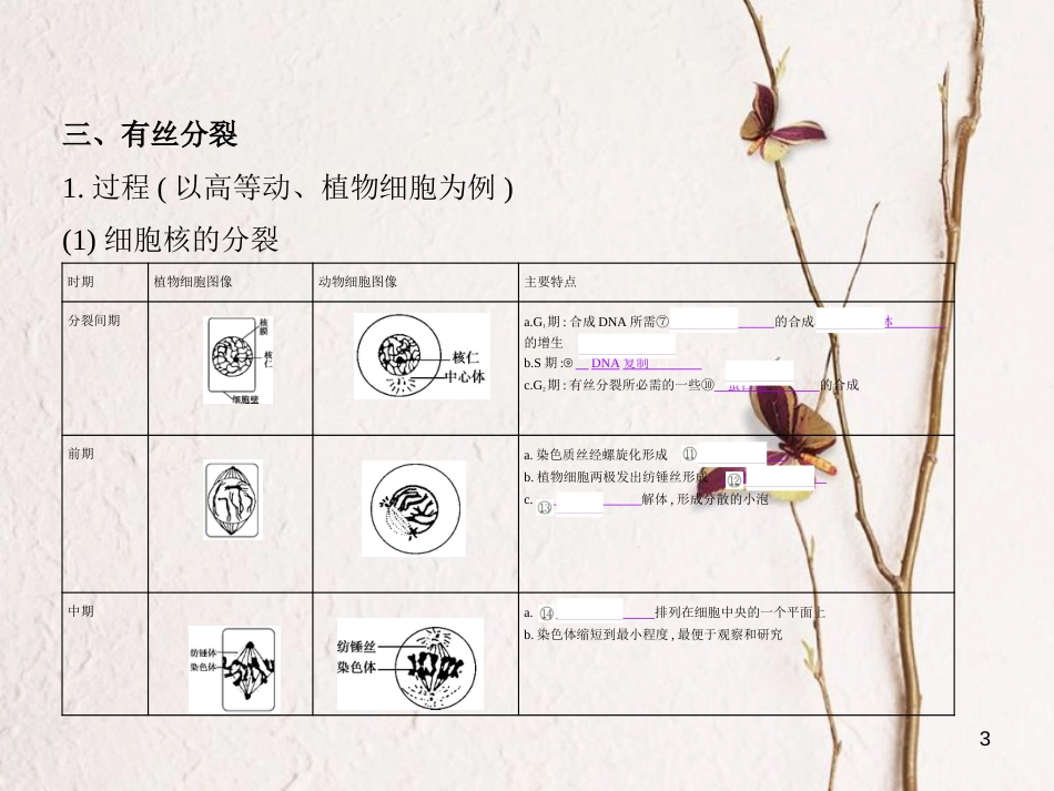 （B版，浙江选考专用）2019版高考生物总复习专题7细胞的增殖课件_第3页